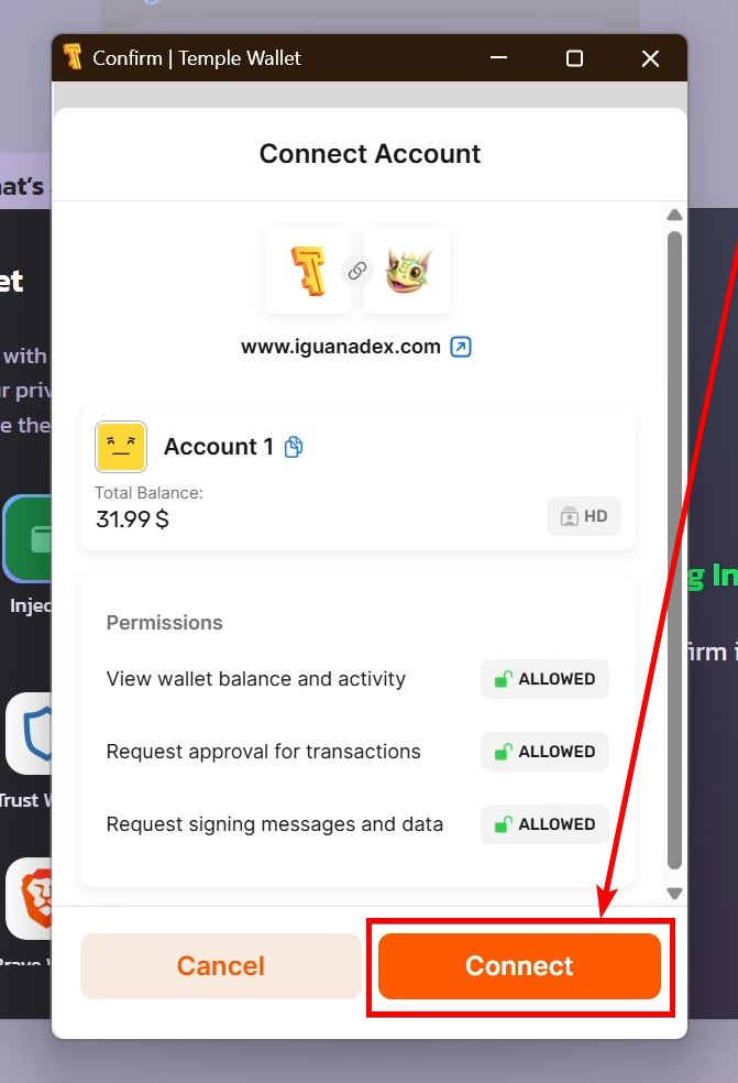 The Temple Wallet connect window