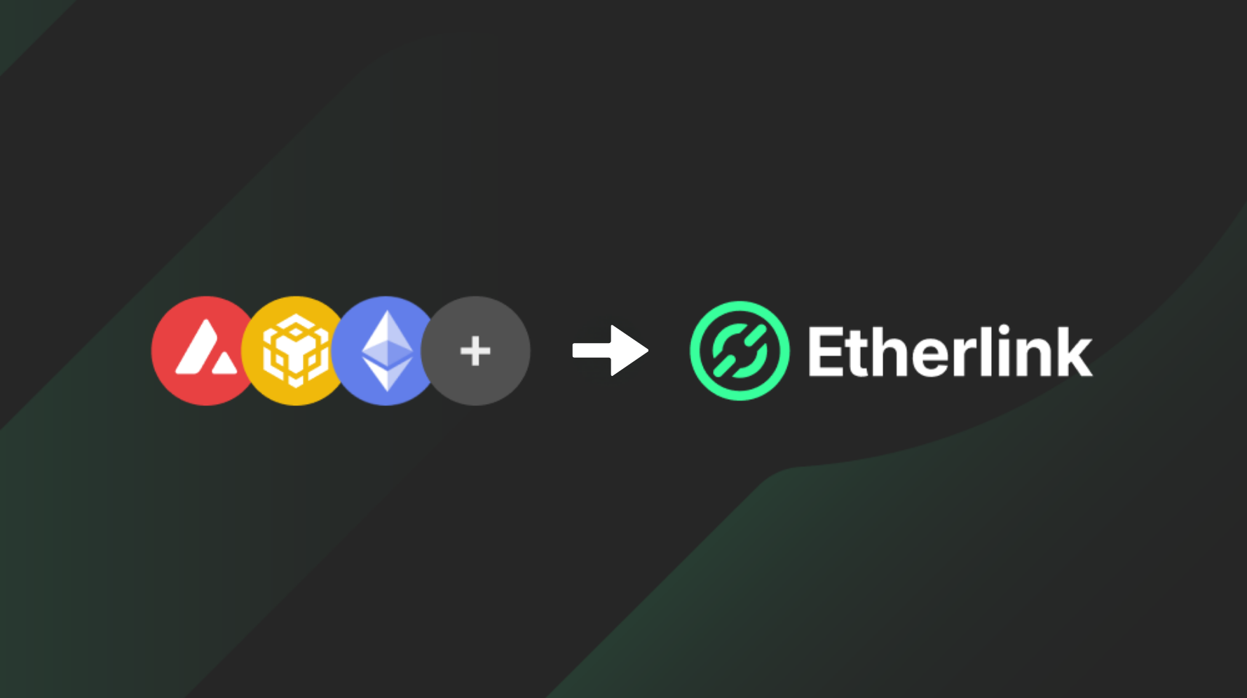 Bridge tokens from EVM networks to Etherlink